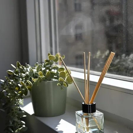 아파트 La Pastorela 베오그라드