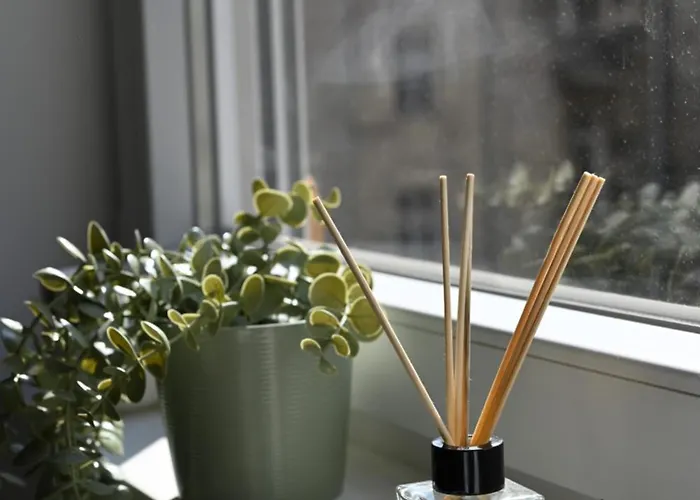 Apartman La Pastorela Belgrád